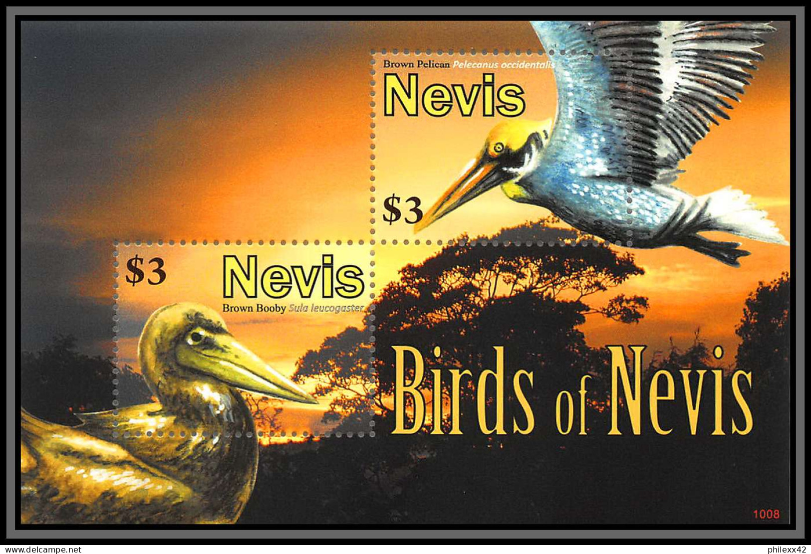 80860 Birds Of Nevis Y&t N° 292  Brown Booby Fou Brun Pelican ** MNH Oiseaux 2010 - Pelikanen