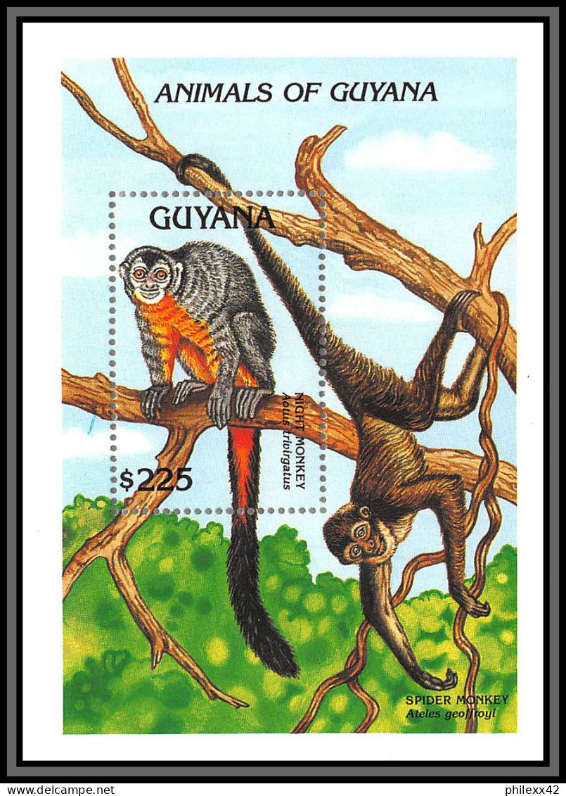 80915b Guyana Mi N°202/203 Wolly Opossum Night Monkey Douroucouli Ape TB Neuf ** MNH Animaux Animals 1992 - Apen