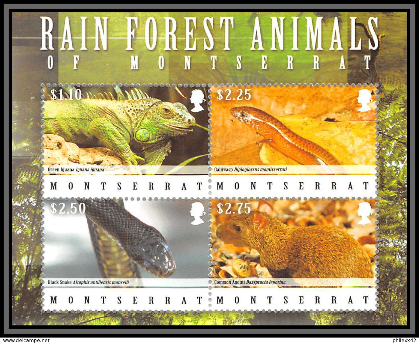 80939 Montserrat Mi N°1476/1479 Rain Forest Animals Snake Iguana Agouti Serpent Iguane Neuf ** MNH Animaux Animals 2009 - Serpenti