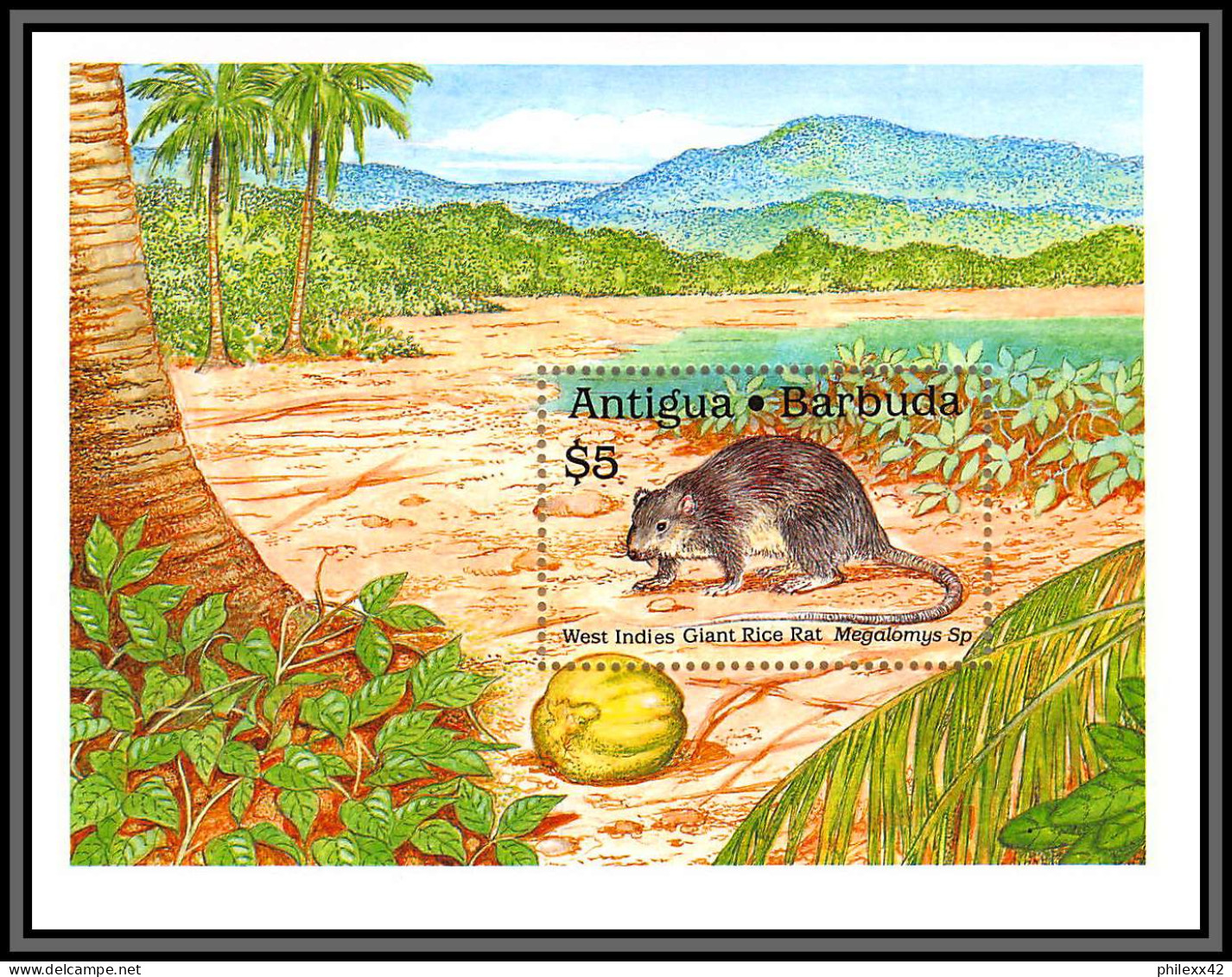 80962 Antigua & Barbuda Y&t BF N°162 Mi 164 West Indies Giant Rice Rat ** MNH 1989 - Roedores