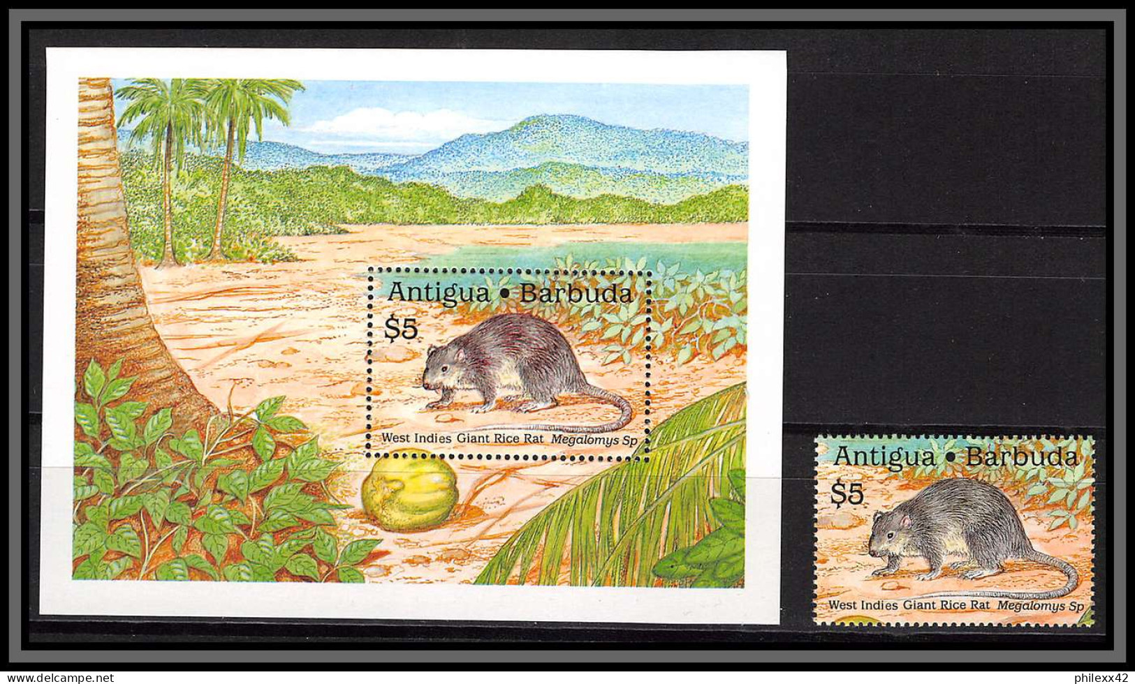 80962b Antigua & Barbuda Y&t BF N°162 Mi 164 + Timbre West Indies Giant Rice Rat ** MNH 1989 - Roditori