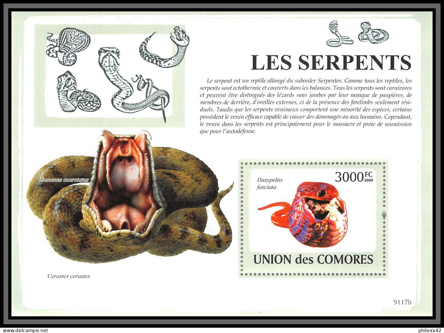 80968 Comores Y&t BF N°167 Cerastes Vipère à Cornes Dasypeltis Serpent Serpents Snakes Snake   ** MNH 2009 Cote 21 Euros - Serpents