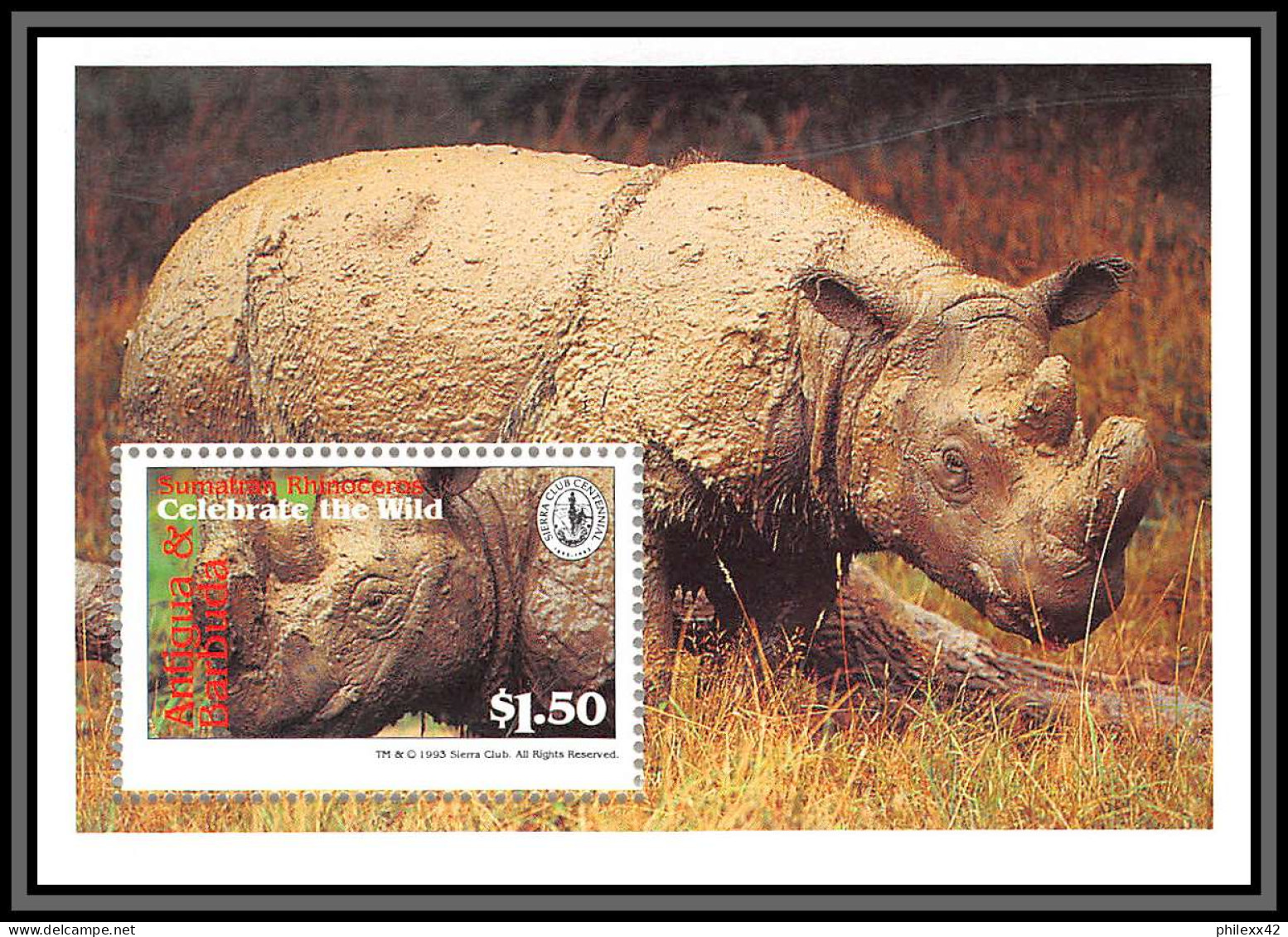 80972 Antigua & Barbuda Mi N°284  Rhinocéros ** MNH 1994 Sierra Club Centennial - Rhinozerosse
