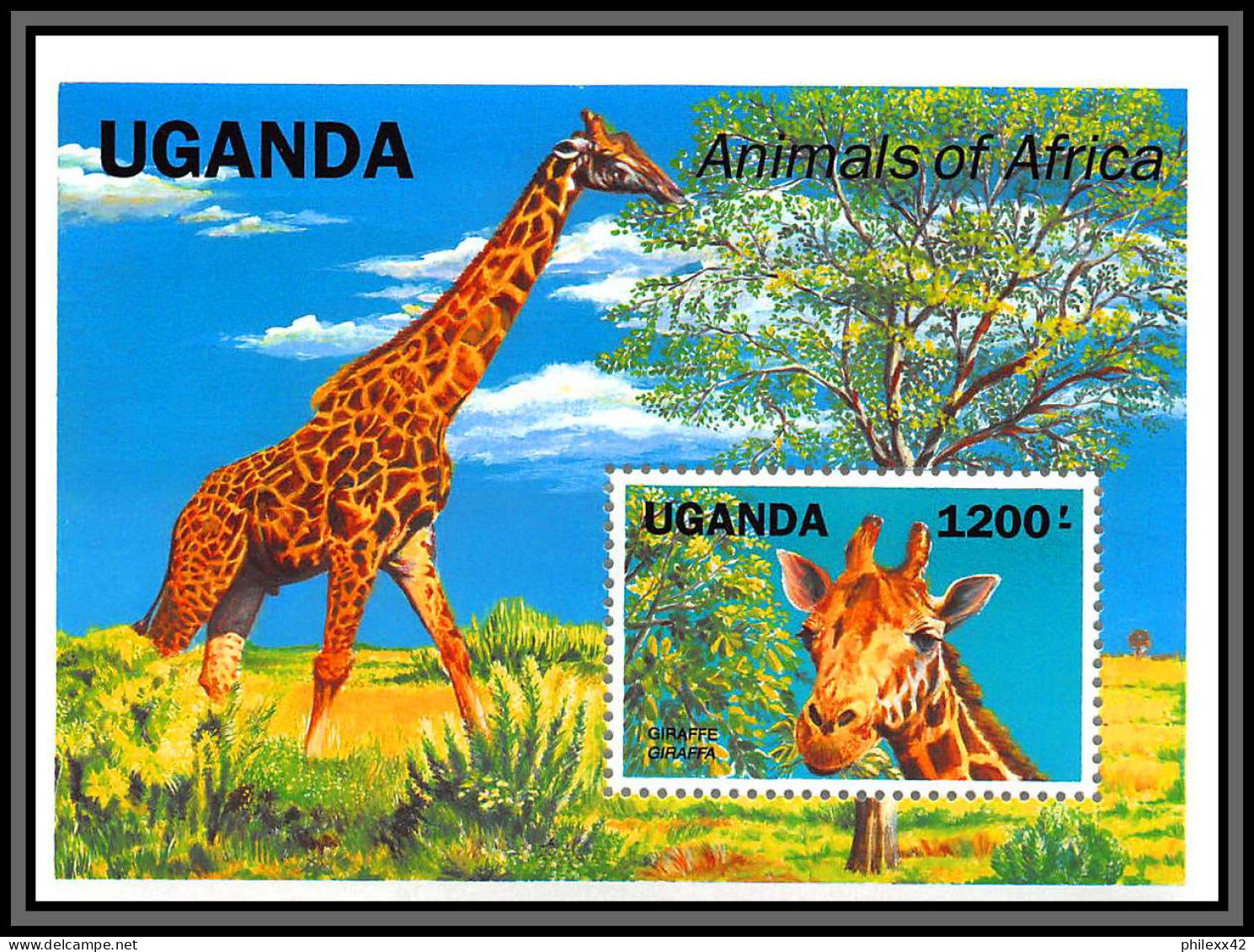 80974 Ouganda Uganda Y&t BF 148 Giraffe Giraffa Girafe ** MNH 1991 Animal Of Africa - Giraffes