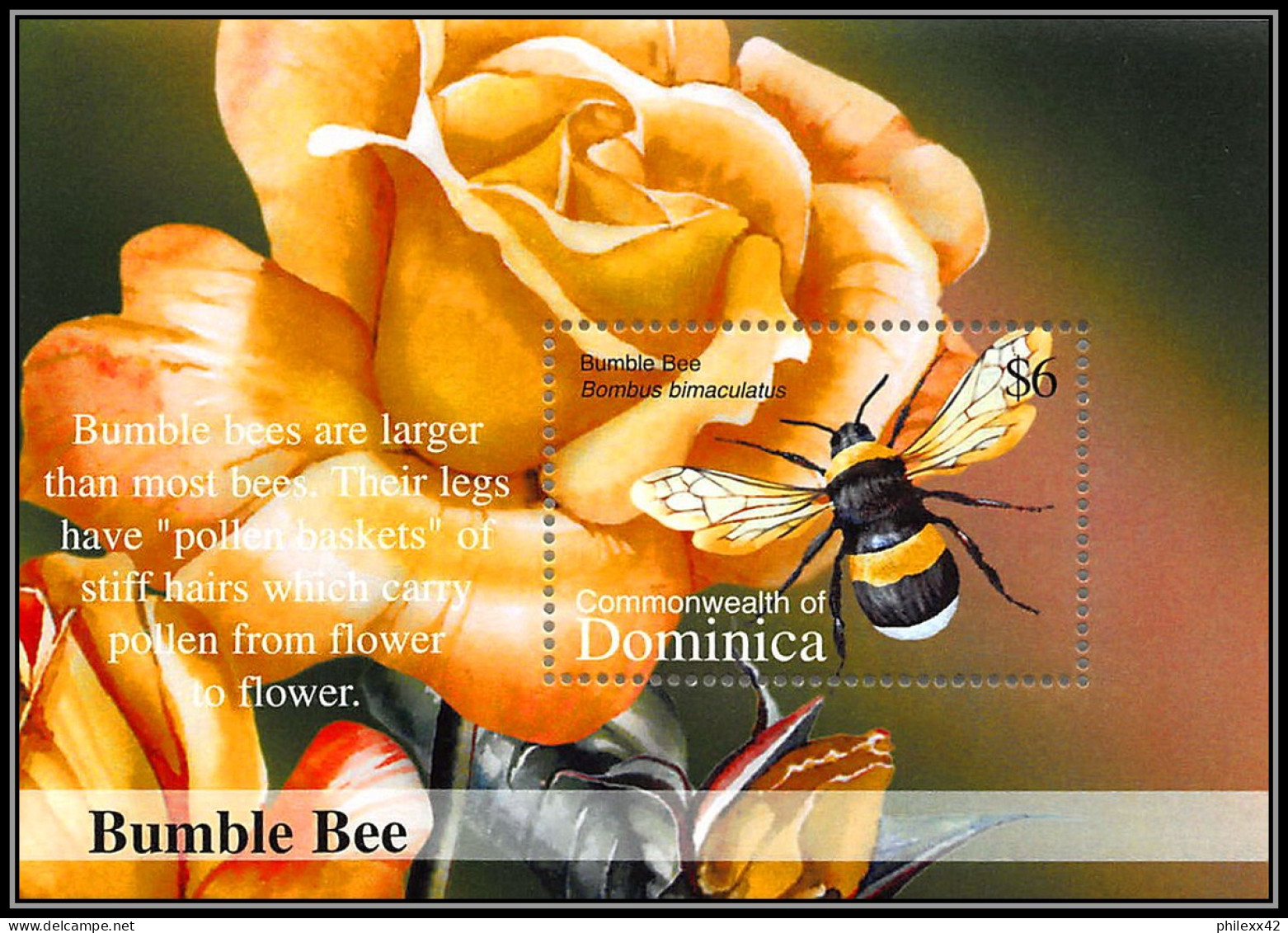80988 Dominica Dominique Mi BF N°231 Bumble Bee Bourdon ** MNH  Insectes (insects) Roses - Dominique (1978-...)