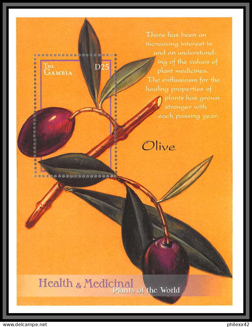81011 Gambia Gambie BF N°525 Medicinal Plants Olive TB Neuf ** MNH Fleur Flowers Flower Fleurs 2001 - Geneeskrachtige Planten