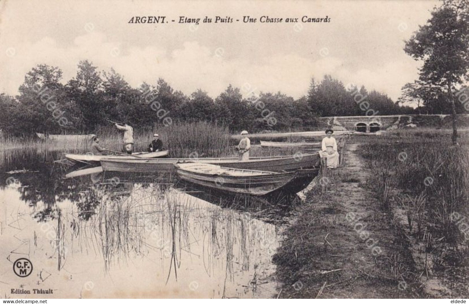 Chasse Aux Canards Argent Sur Sauldre Etang Du Puits Duck Hunting Edit CFM Thiault - Argent-sur-Sauldre