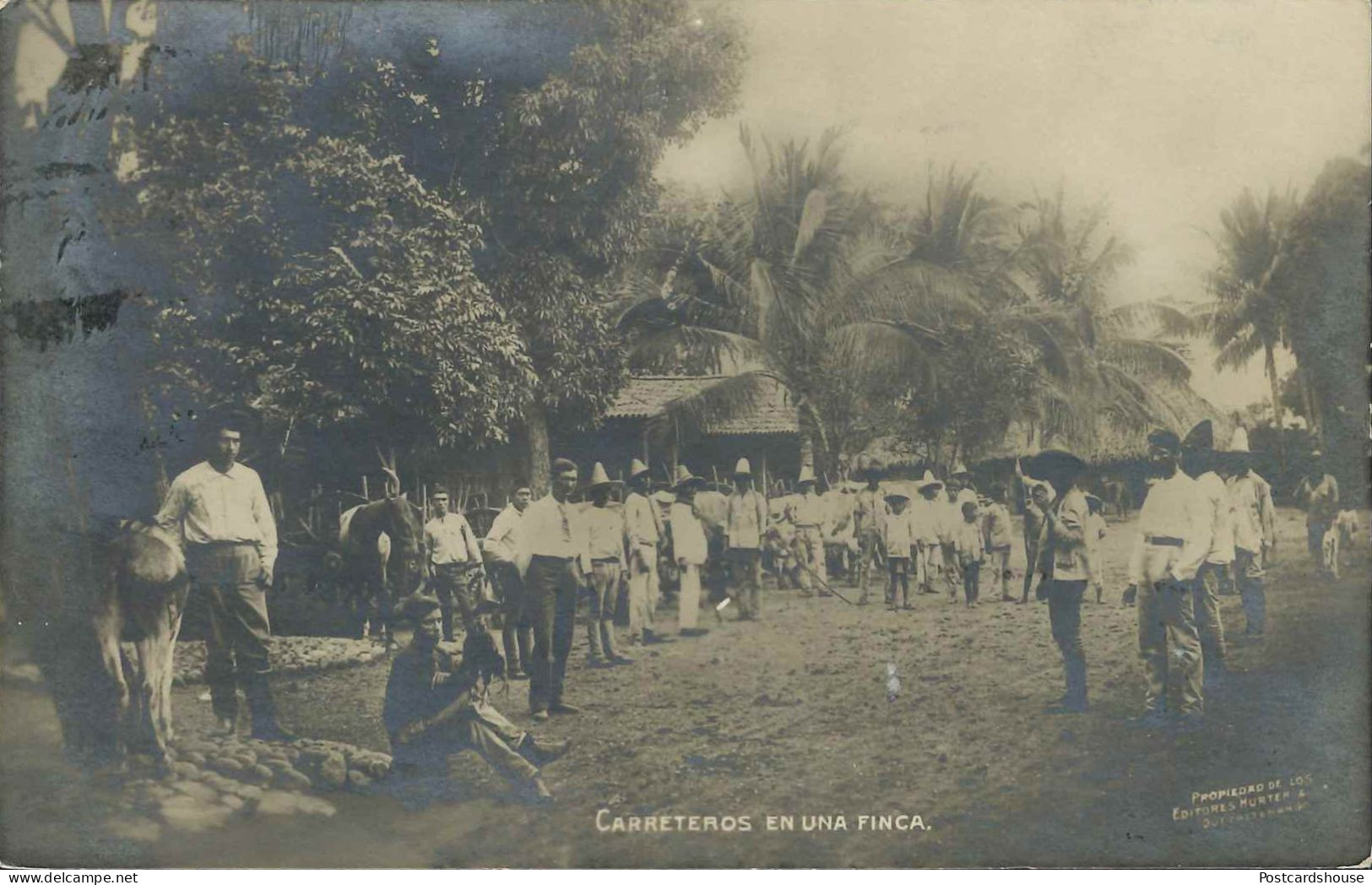 GUATEMALA CARRETEROS EN UNA FINCA REAL PHOTO 1907 - Guatemala