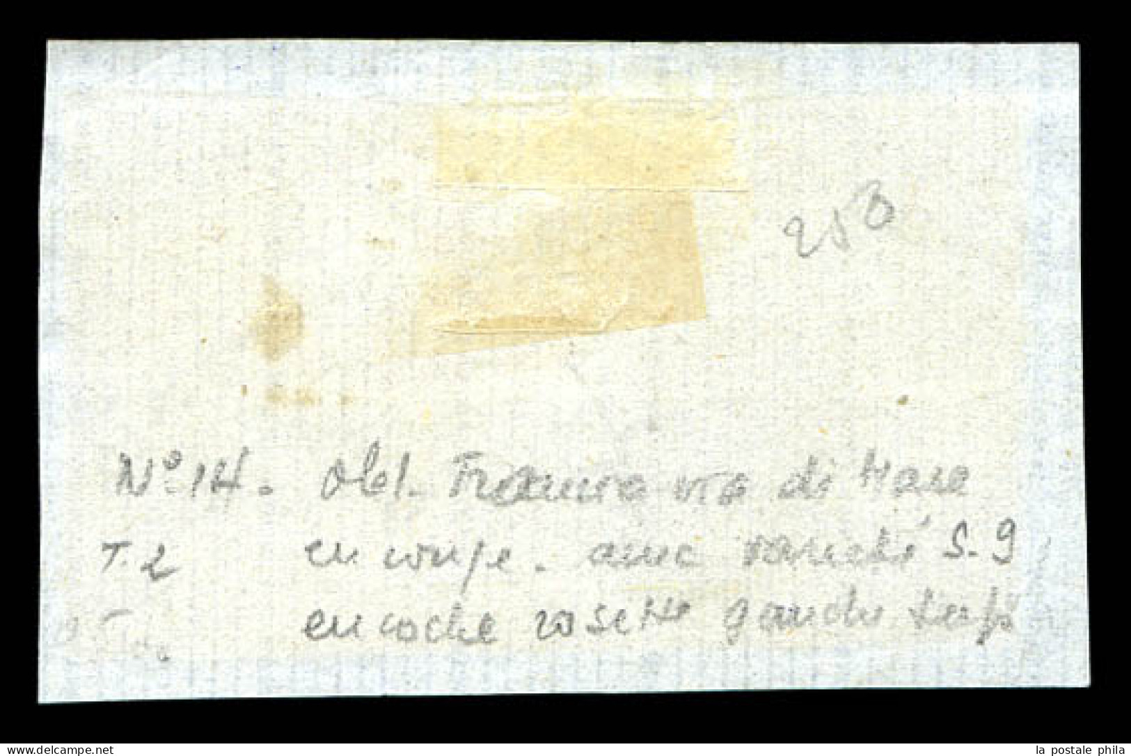 O N°14B, 20c. Bleu, T II, PAIRE, Un Ex. VARIETE D'impression, Obl. FRANCIA/VIA DI MARE En Rouge Sur Son Support. TTB (ce - 1853-1860 Napoléon III