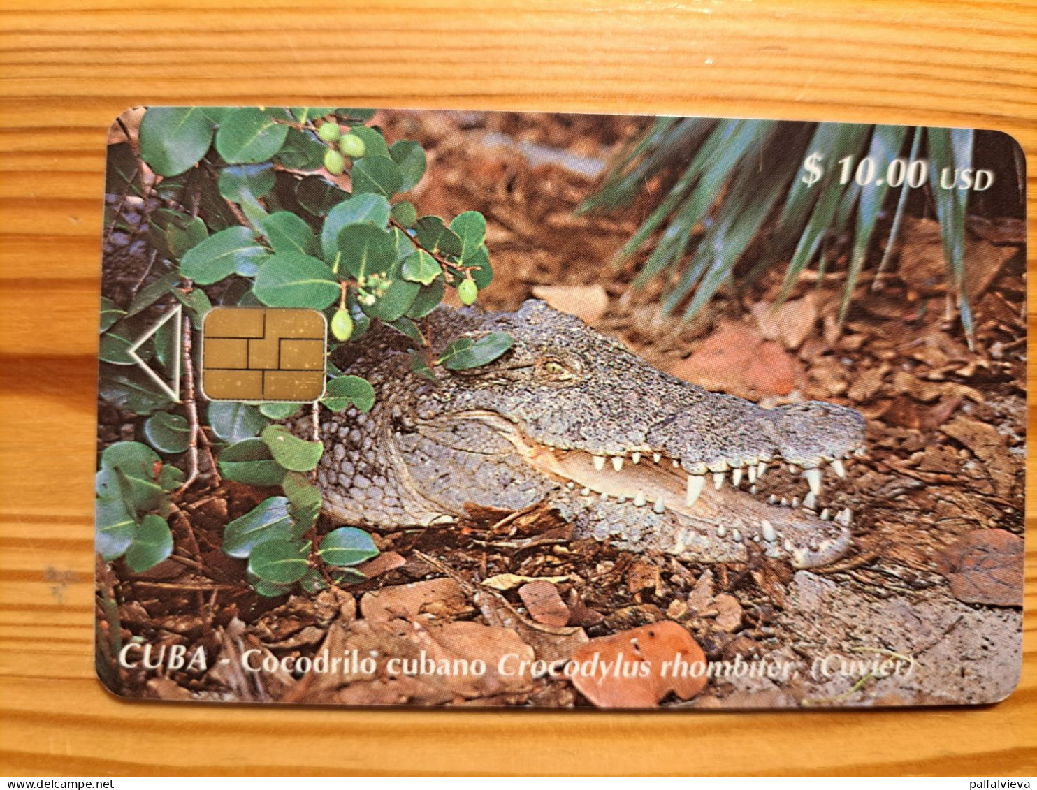 Phonecard Cuba, Etecsa - Crocodile - Kuba
