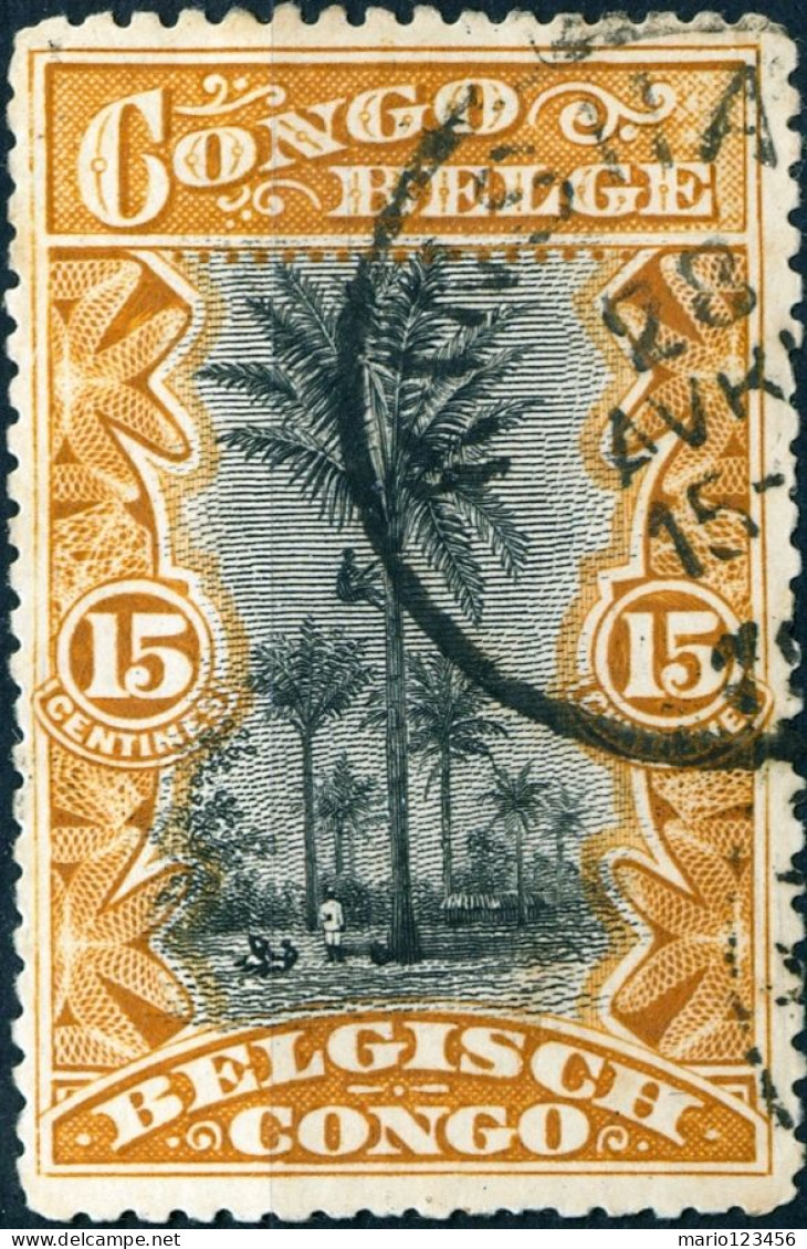 CONGO BELGA, BELGIAN CONGO, PAESAGGI, LANDSCAPE, 15 C., 1910, FRANCOBOLLI USATI Mi:BE-CD 17, Sn:BE-CD 47, Yt:BE-CD 56 - Oblitérés