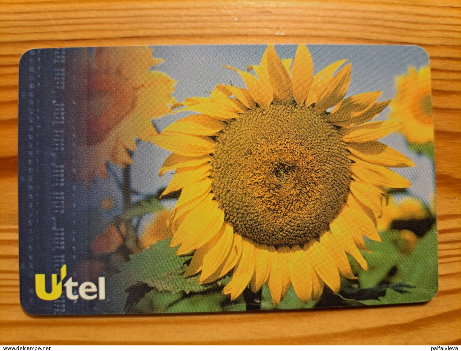 Phonecard Ukraine - Sunflower - Ukraine