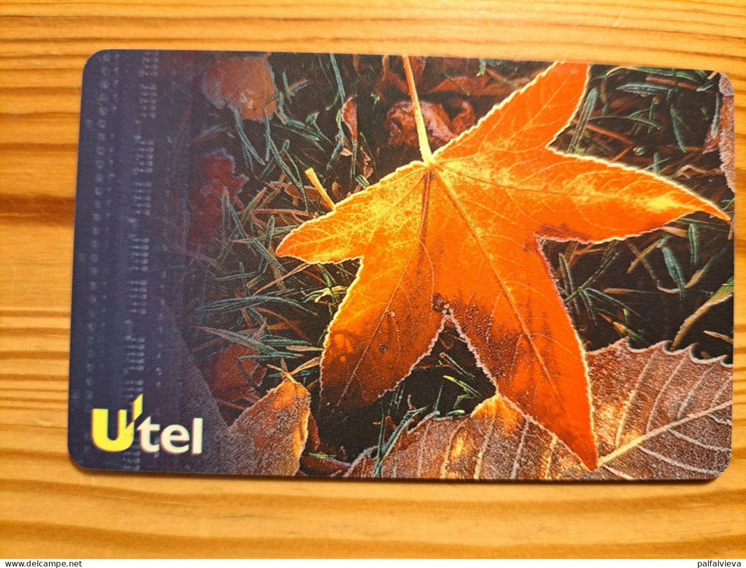 Phonecard Ukraine - Maple Leaf - Ukraine