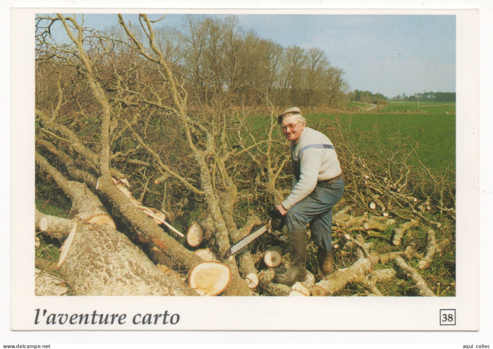 GUÉMENÉ-PENFAO  44  BERNARD NEVOUX A ABATTU UN CHÊNE CENTENAIRE AU LIEU-DIT BOULAGOT 1991 - Guémené-Penfao