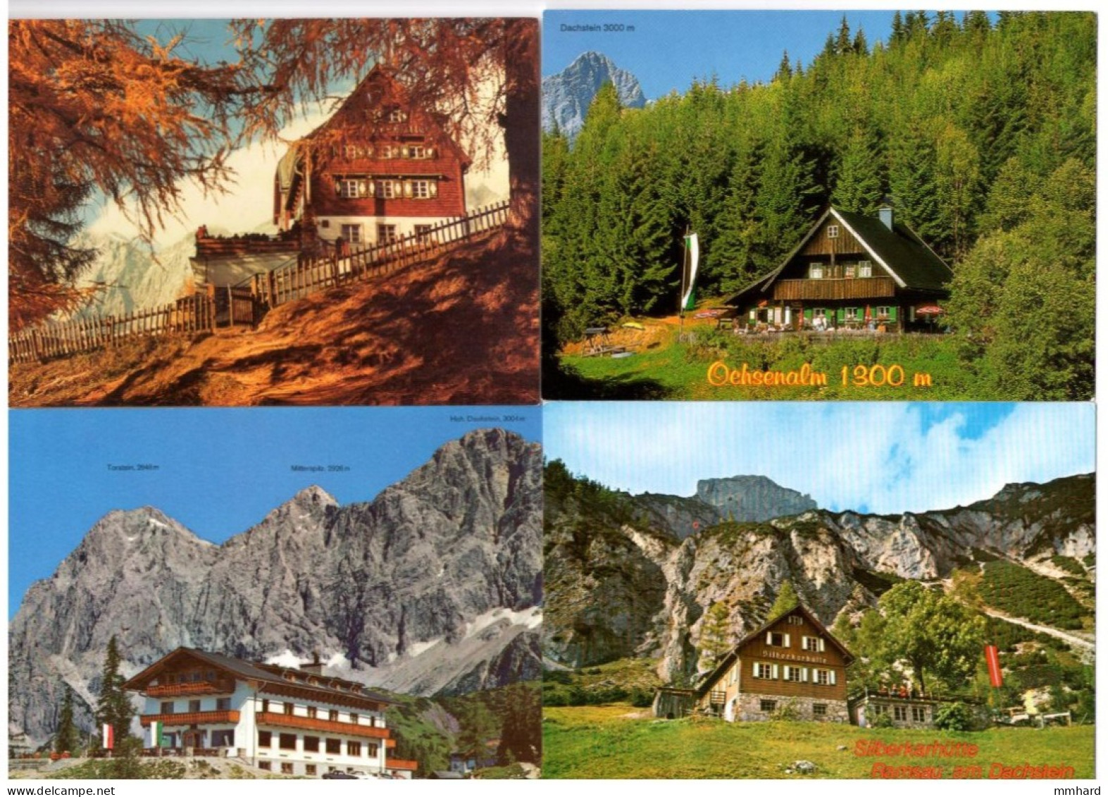 4 Stk AK Ramsau Steiermark Österreich Ochsenalm Silberkarhütte Türlwand Austria Hütte - Ramsau Am Dachstein