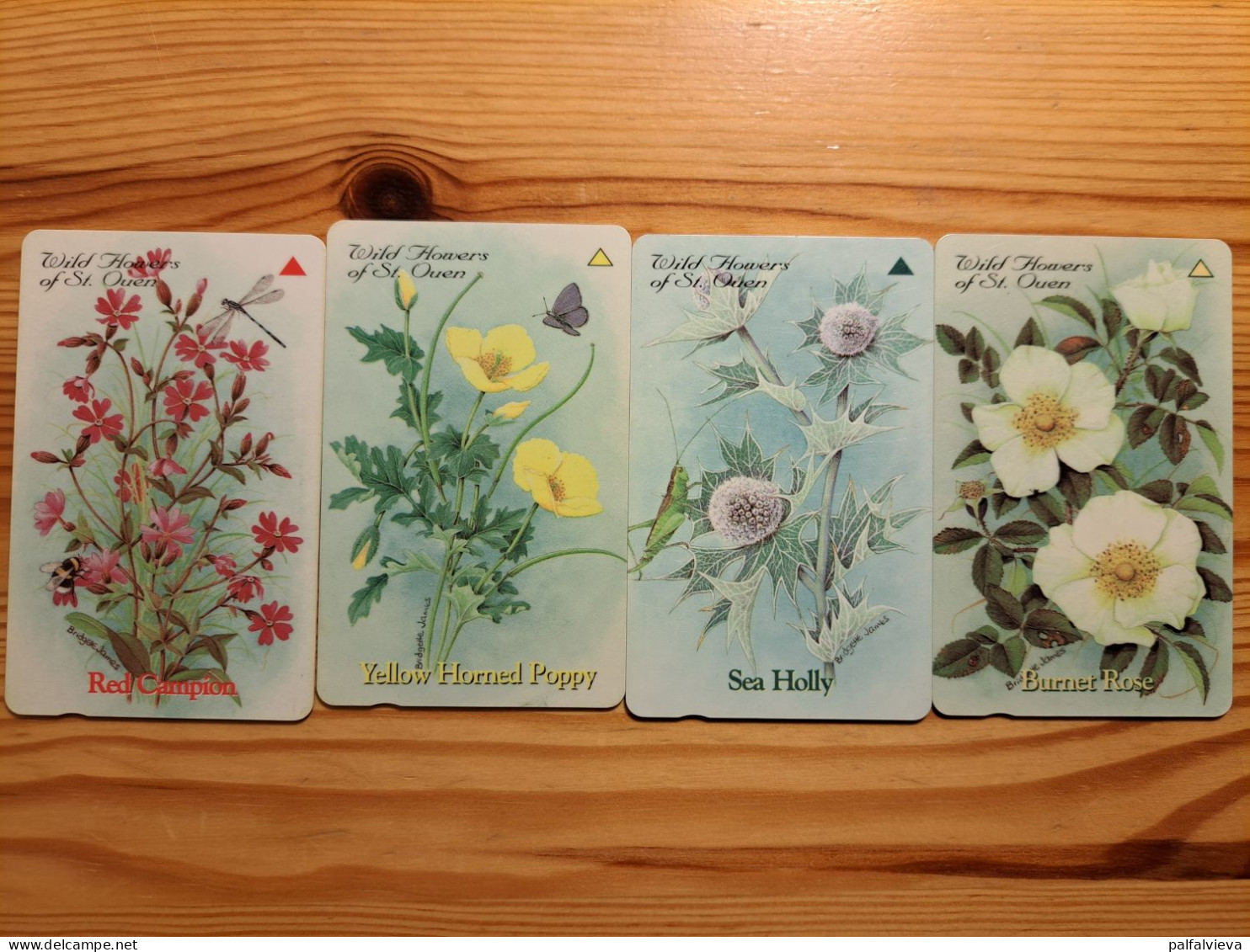 Phonecard Set Jersey 40JERA-D - Flowers - [ 7] Jersey Und Guernsey