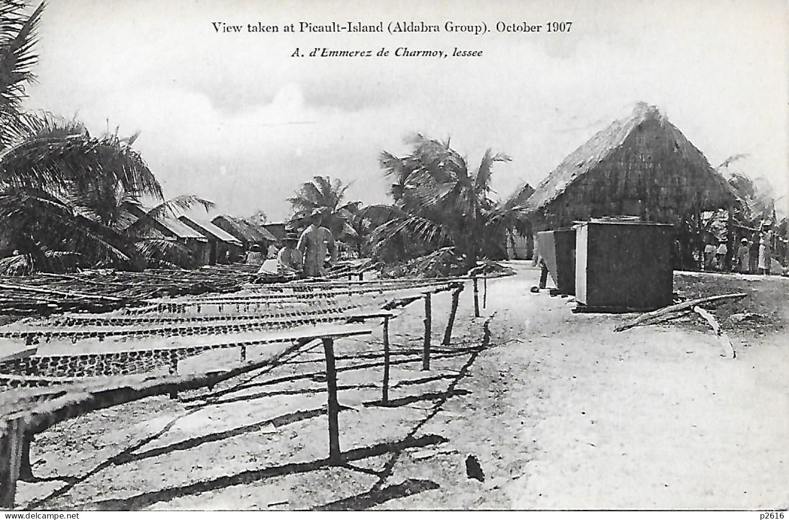 AFRIQUE - SEYCHELLES - VIEW TAKEN AT PICAULT- ISLAND ( ALDABRA GROUP) OCTOBER 1907 - Seychelles