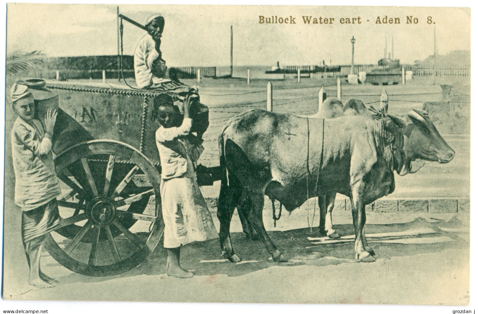 Bullock Water Cart, Aden, Yemen - Jemen