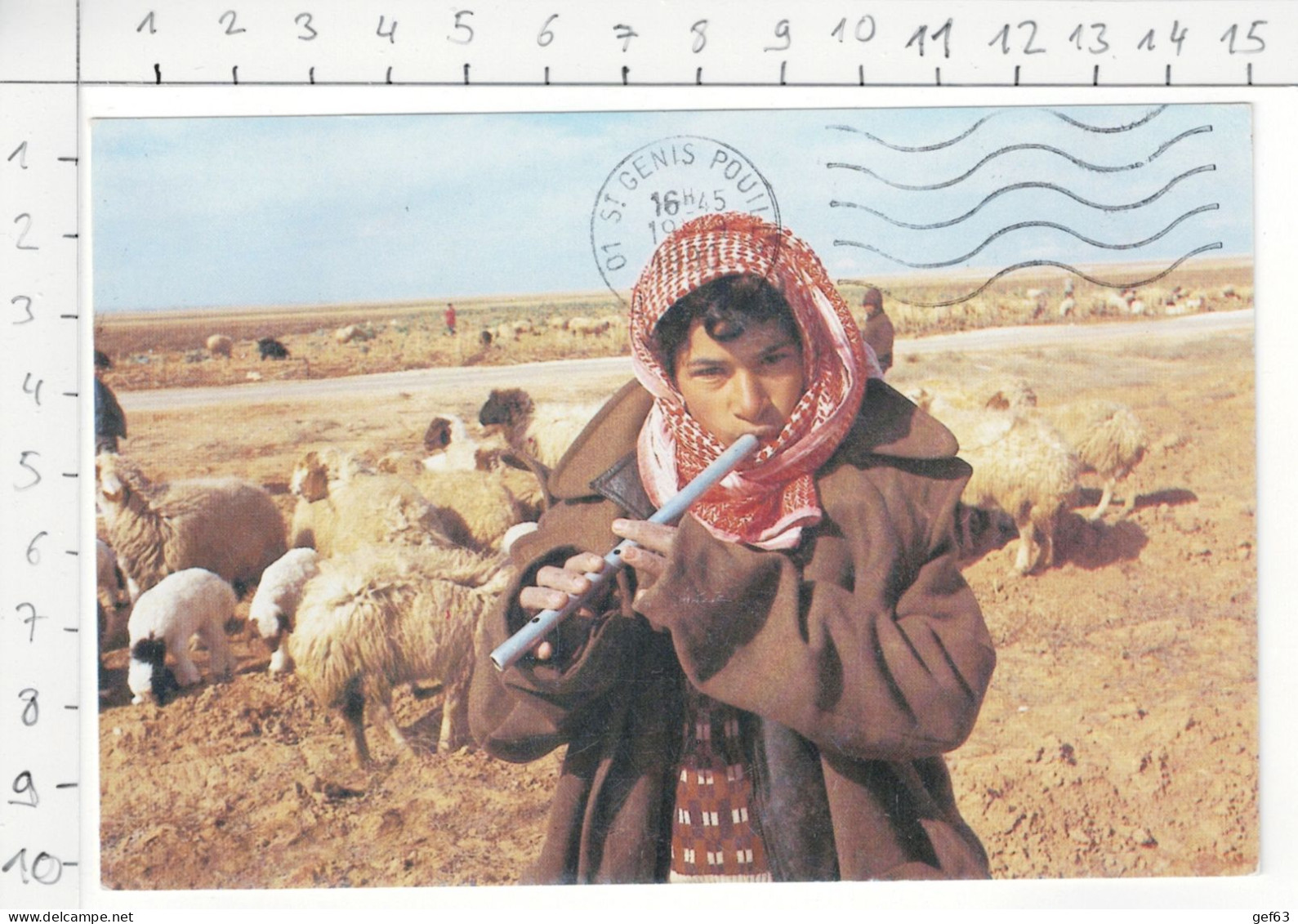 Sheepherder With His Pipe In Jordan Desert - Jordan