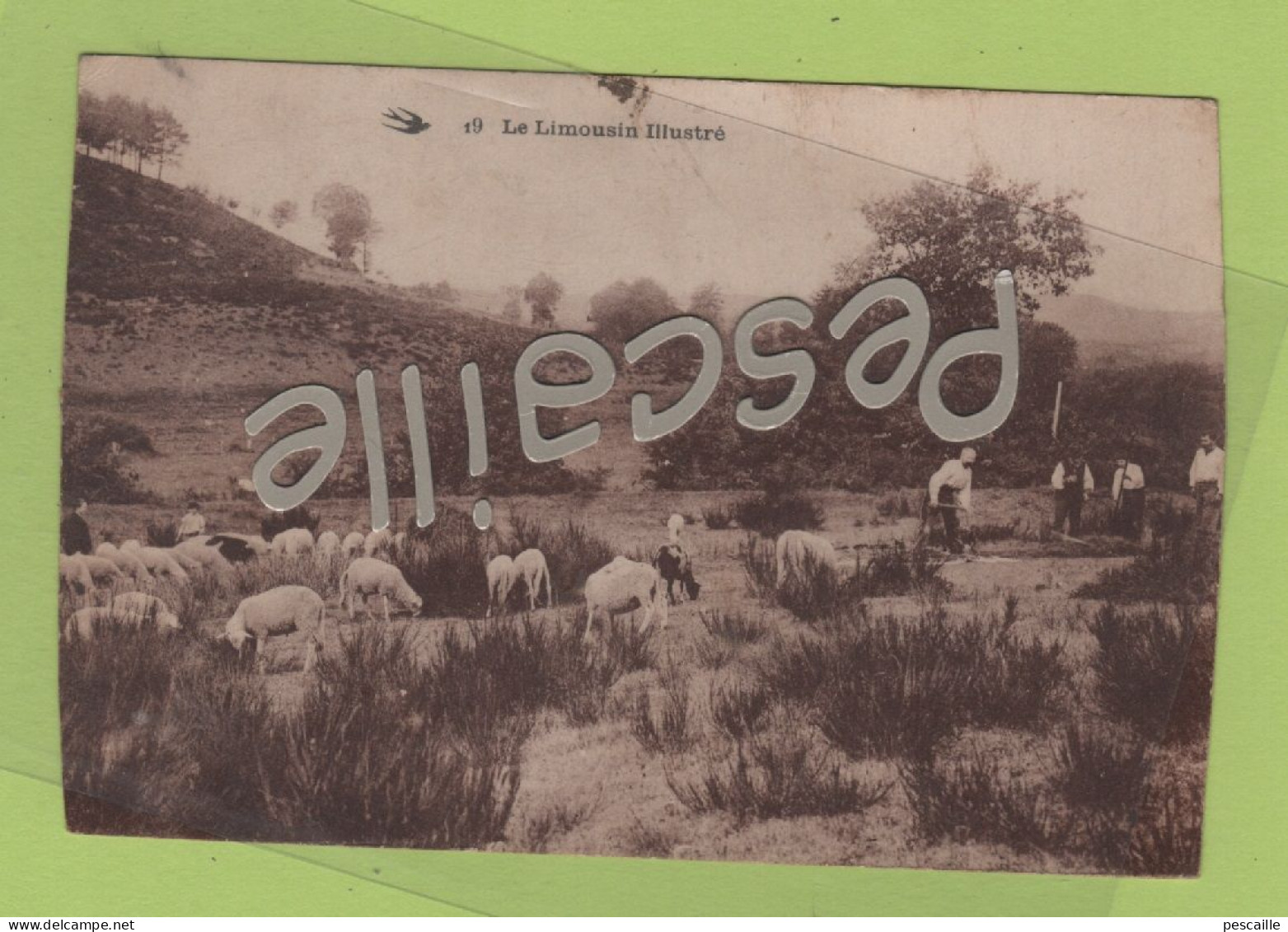 CP ANIMEE A LOCALISER LE LIMOUSIN ILLUSTRE - TROUPEAU DE MOUTONS - HIRONDELLE N° 19 - ECRITE - Limousin