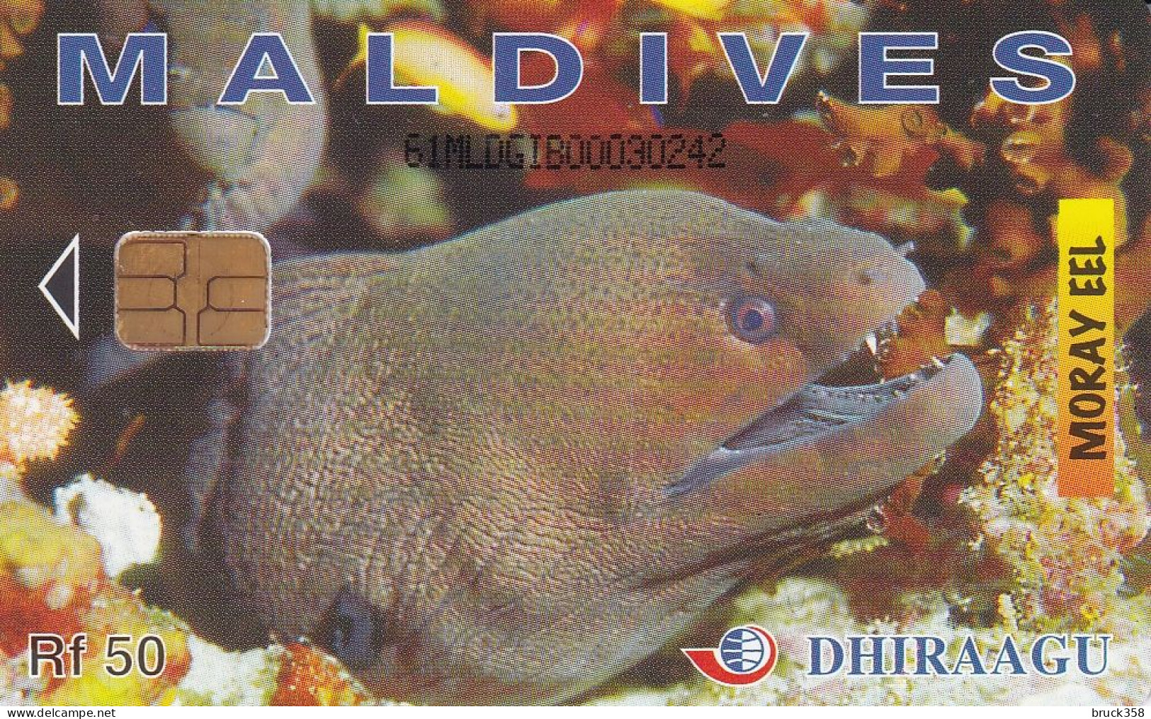 MALEDIVEN - Maldiven