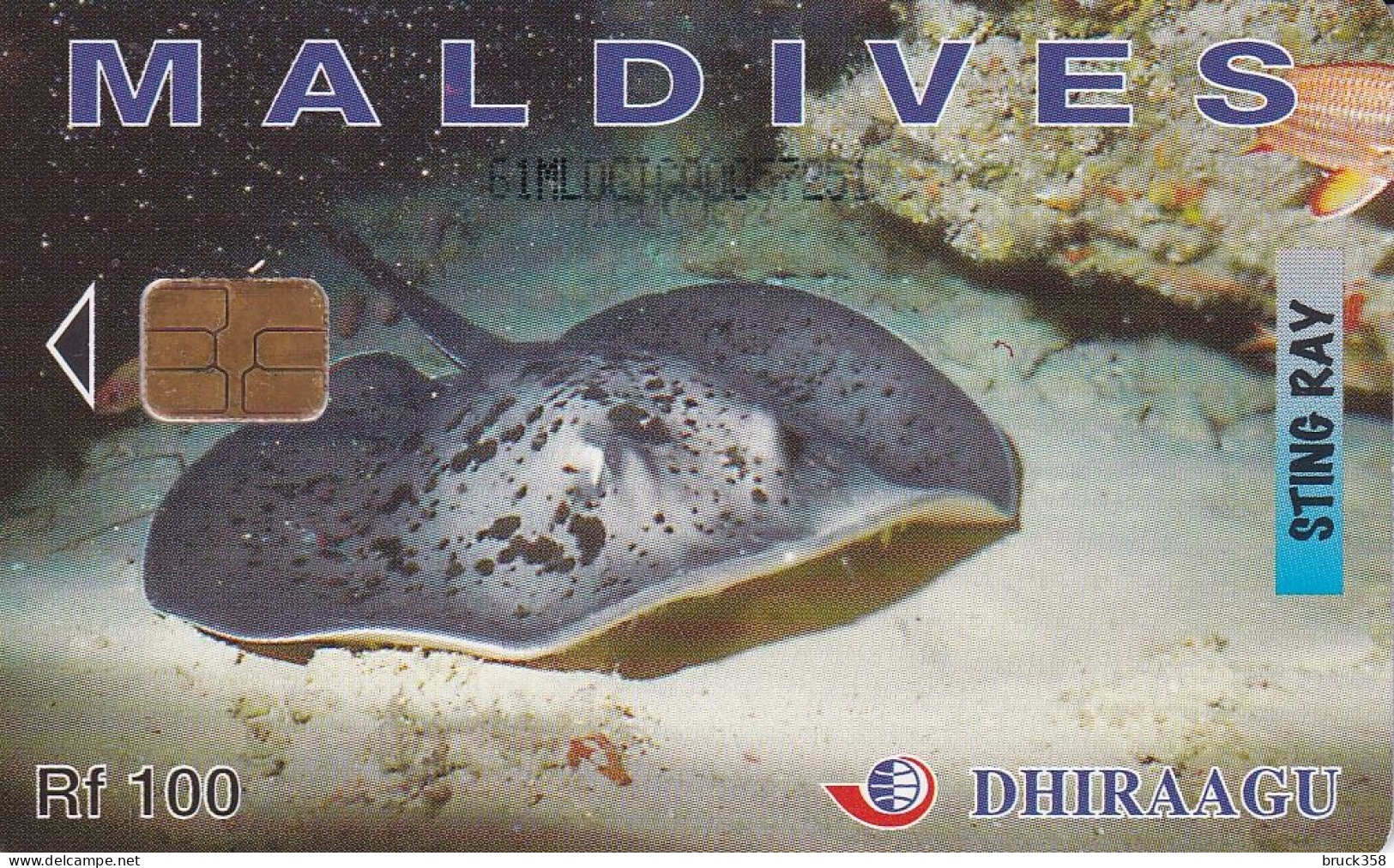 MALEDIVEN - Maldiven