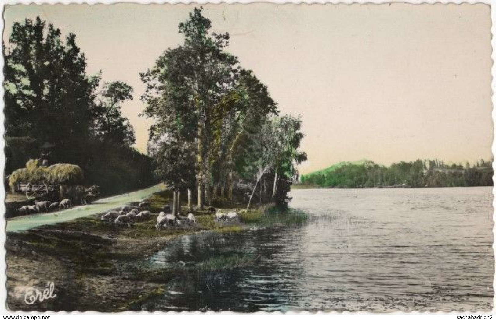 87. Pf. BESSINES. Etang De Sagnat - Bessines Sur Gartempe