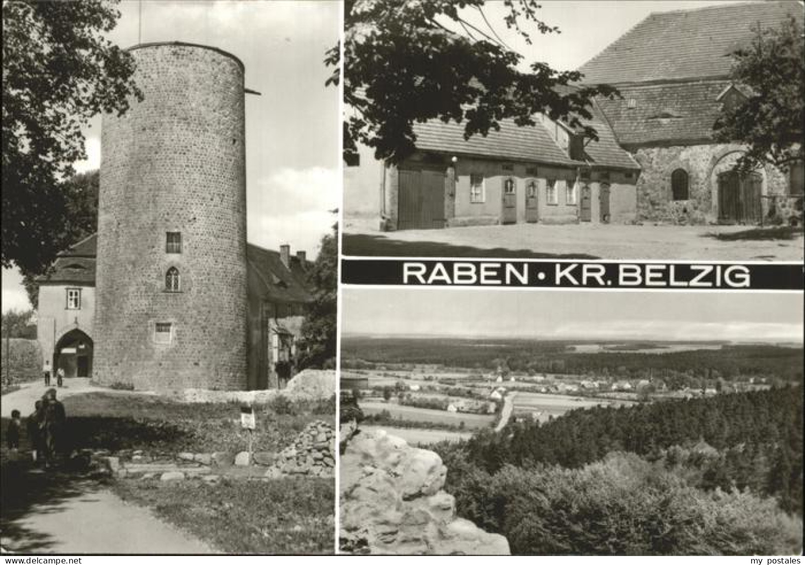 41264223 Raben   Belzig - Belzig