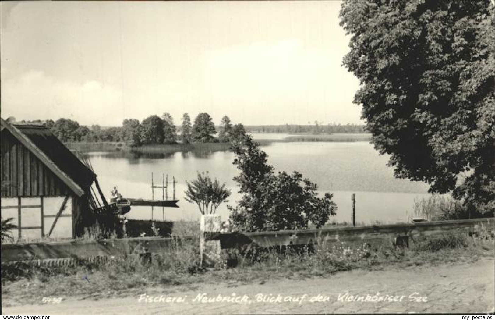 41263604 Neubrueck Spree Fischerei Kleinkoersiser See Rietz-Neuendorf - Wilmersdorf