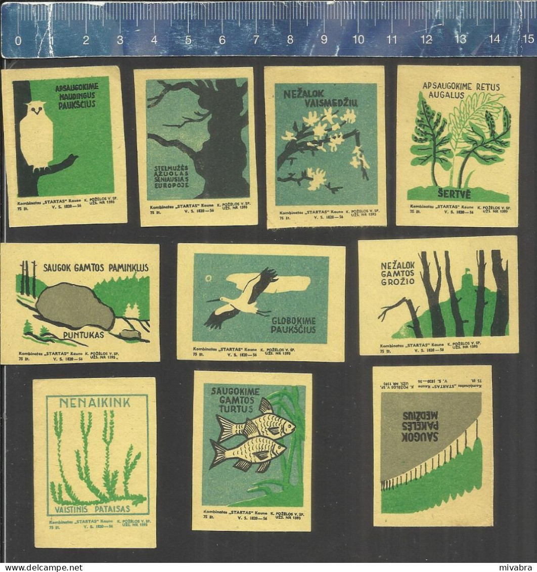 NATURE PROTECTION & CONSERVATION - OLD MATCHBOX LABELS LITHUANIA 1959 - Boites D'allumettes - Etiquettes