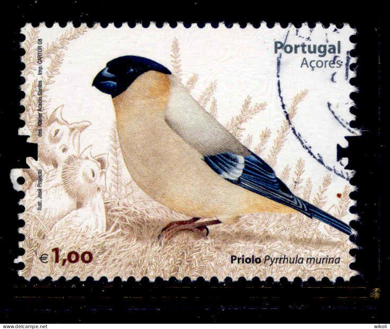 ! ! Portugal - 2008 Priolo Bird - Af. 3703 - Used - Gebruikt