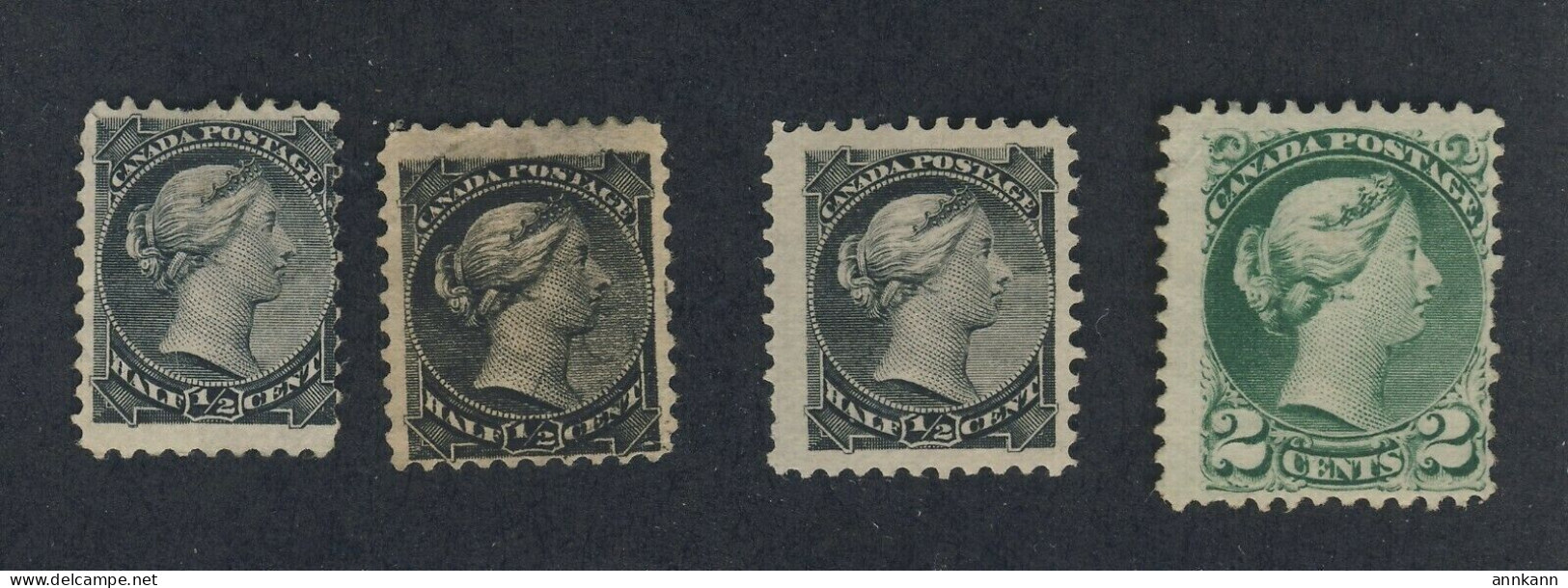 4x Canada Small Queen MNG Stamps 3x #34-1/2c F F/VF VF #36-2c Fine GV = $100.00 - Unused Stamps