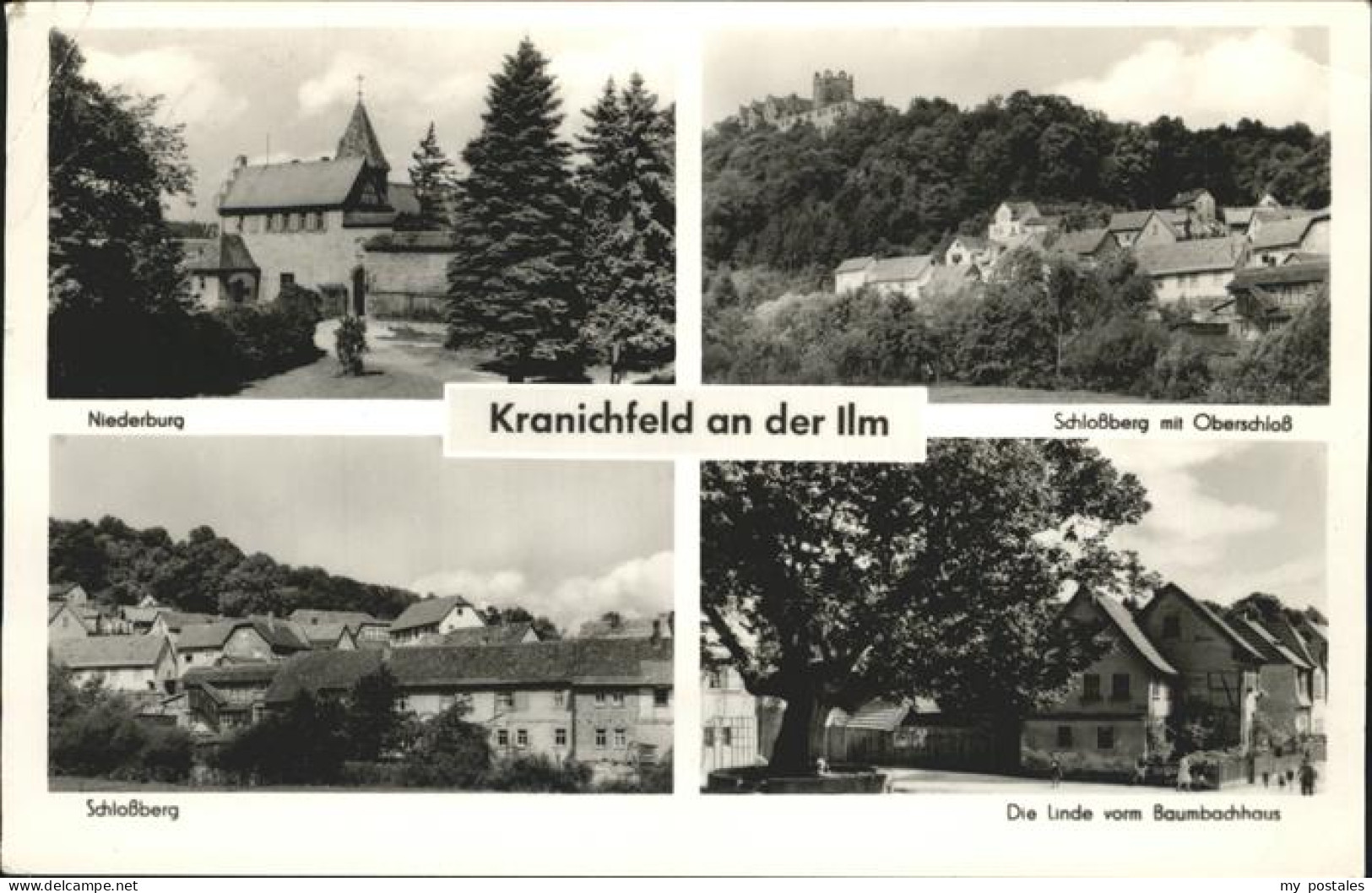 41262114 Kranichfeld Schlossberg Oberschloss Linde Baumbachhaus Niederburg  Kran - Kranichfeld