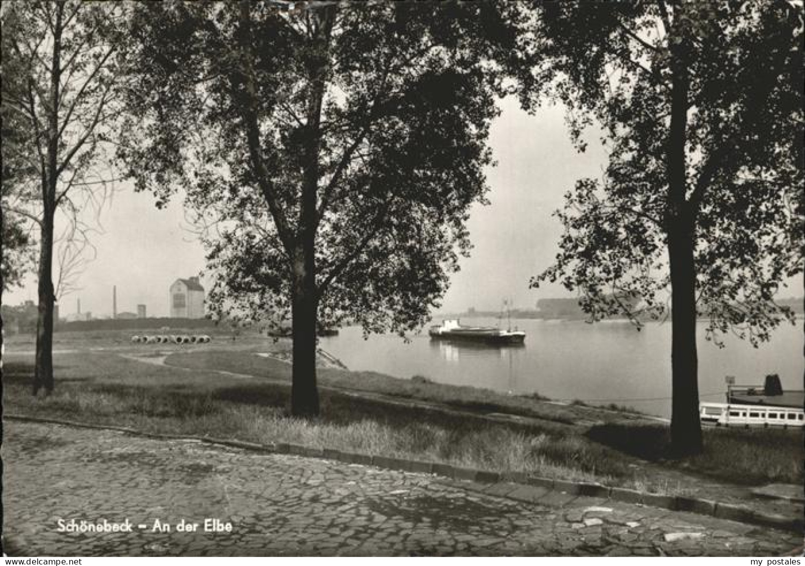 41261931 Schoenebeck Elbe Schiffe Schoenebeck - Schönebeck (Elbe)