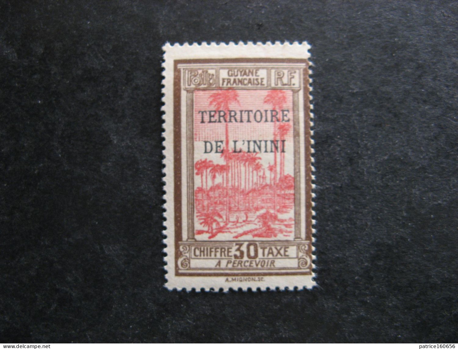 ININI: TB Timbre-Taxe N° 4, Neuf XX . - Unused Stamps
