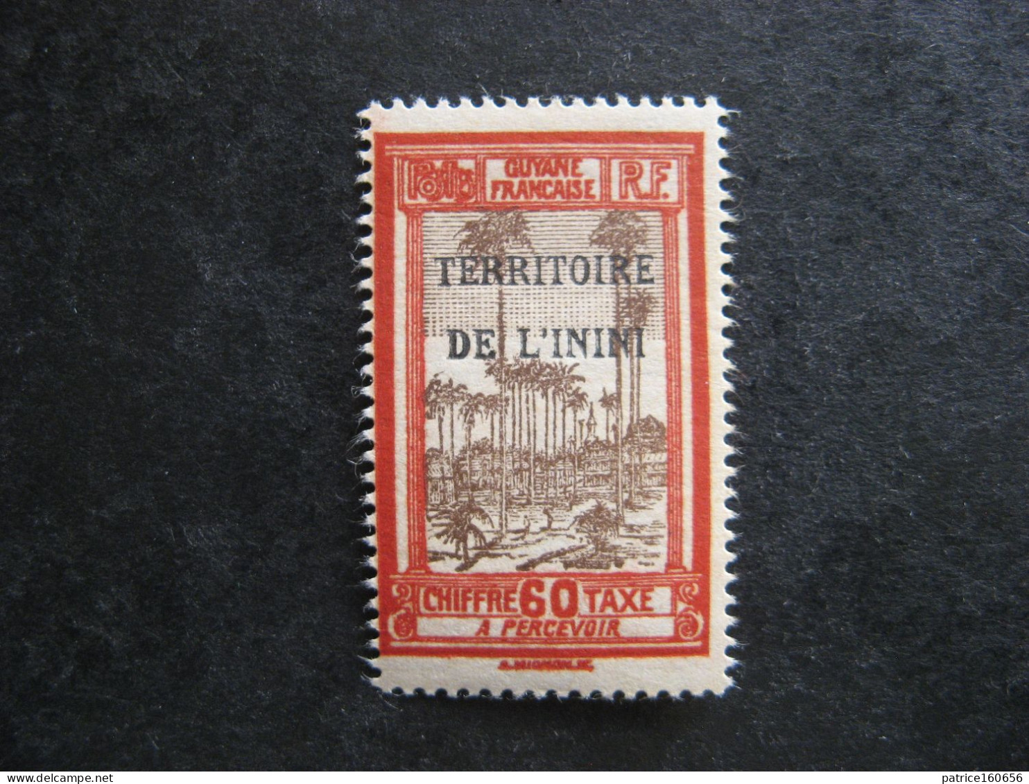 A). ININI: TB Timbre-Taxe N°6, Neuf X . - Unused Stamps