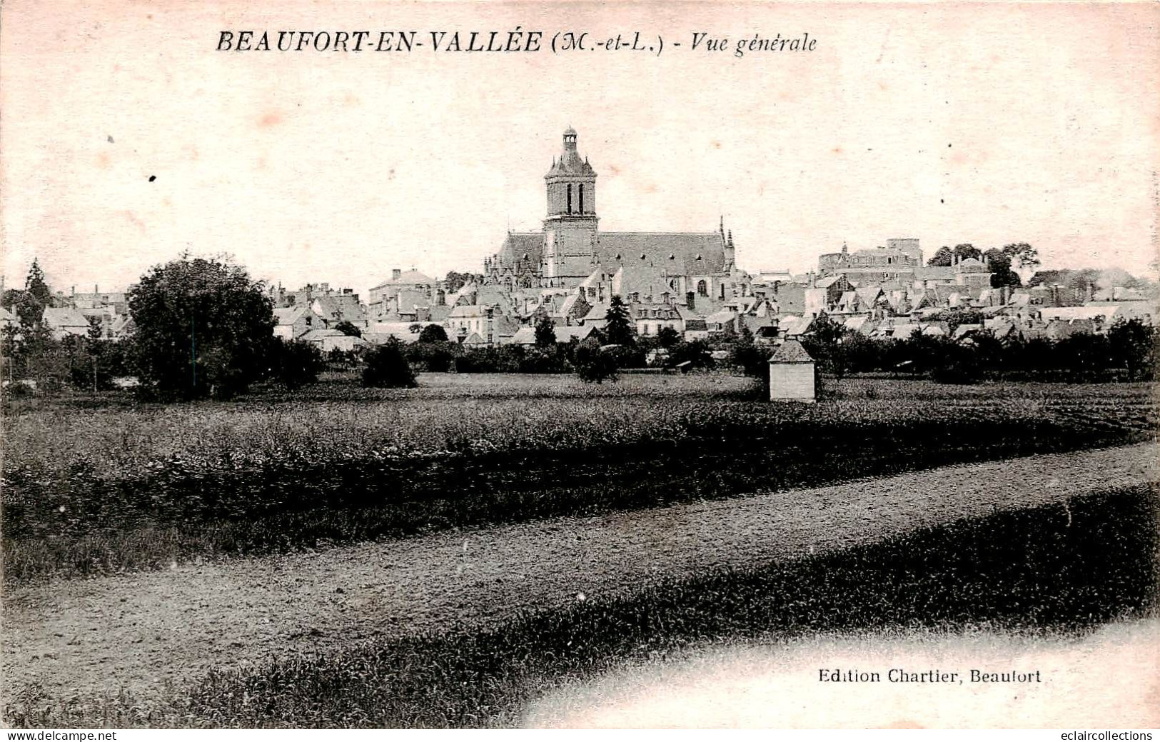 Beaufort En  Vallée       49      Vue Générale                (voir Scan) - Other & Unclassified