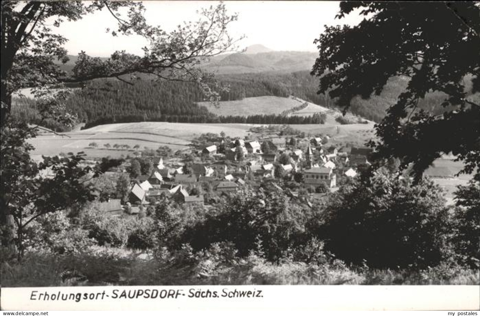 41261268 Saupsdorf  Saupsdorf - Kirnitzschtal