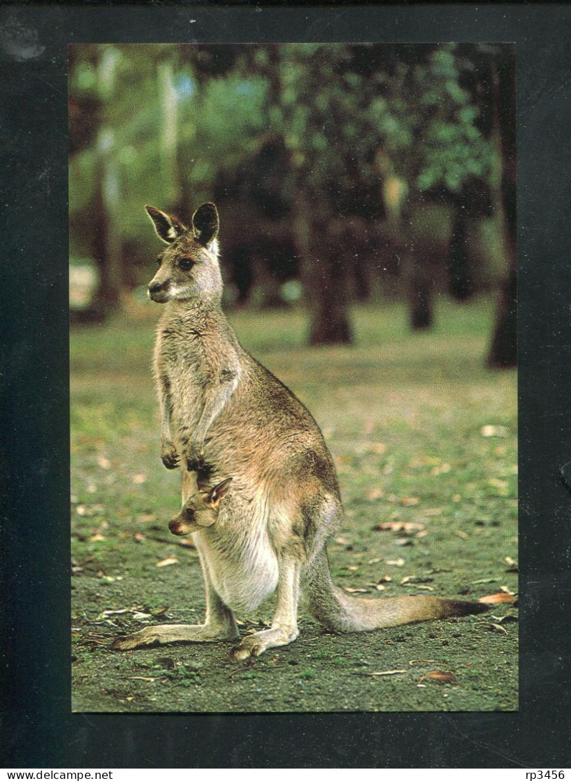 "AUSTRALIEN" 1982, 3 Bild-Postkarten ** (7411) - Enteros Postales