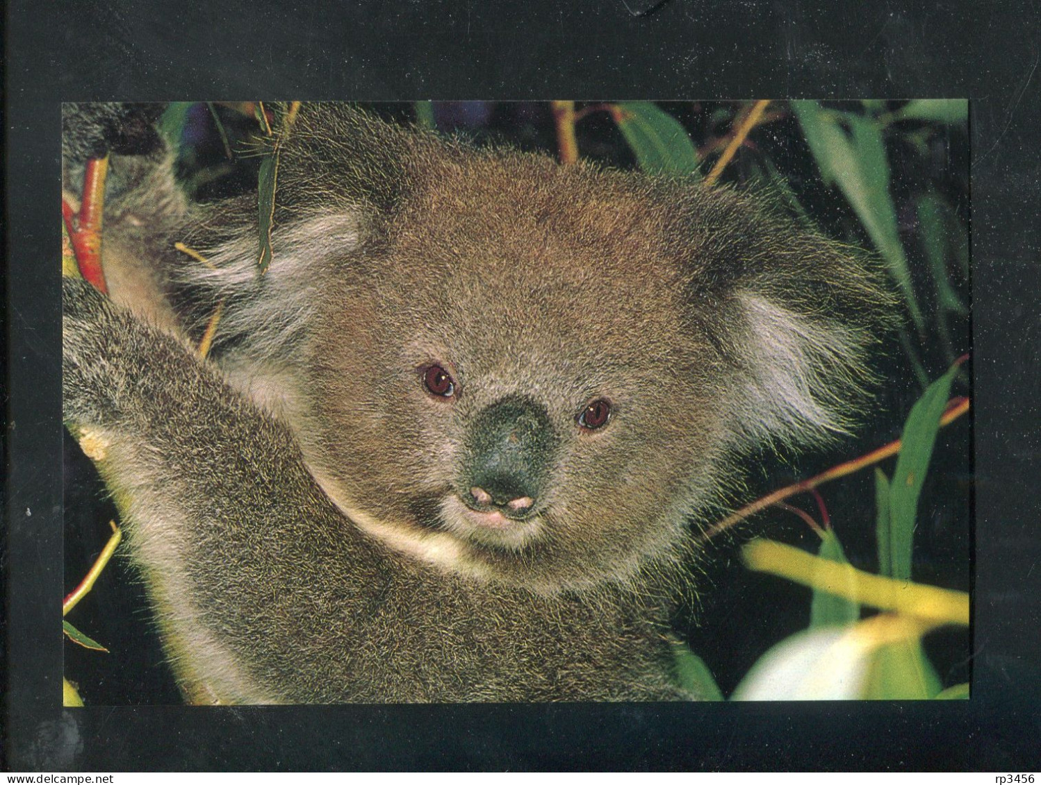 "AUSTRALIEN" 1982, 3 Bild-Postkarten ** (7411) - Ganzsachen