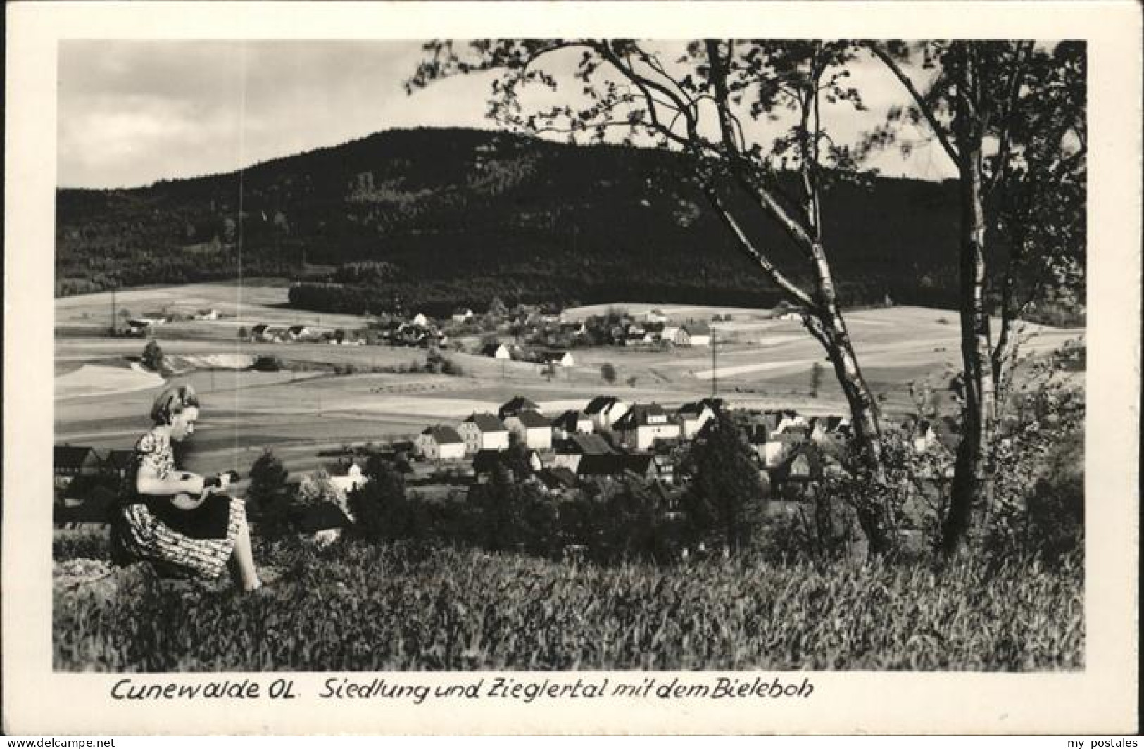 41261216 Cunewalde Siedlung Zieglertal Bielenbach Cunewalde - Cunewalde