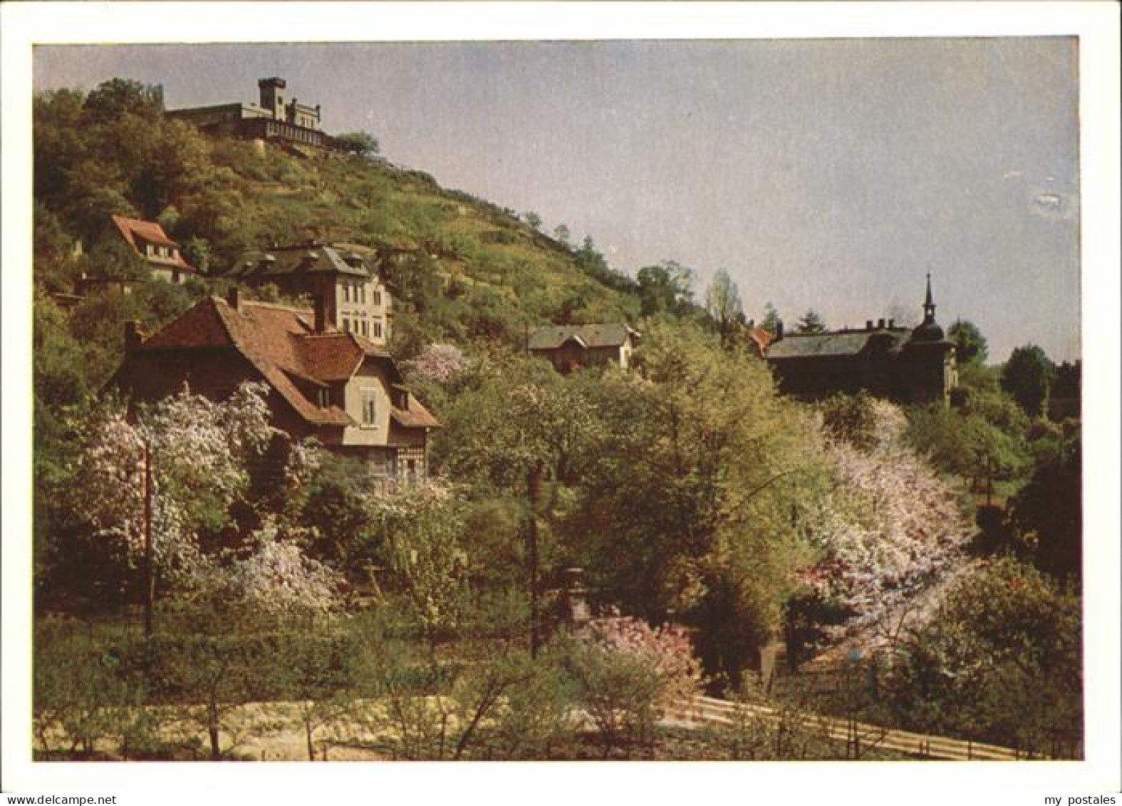 41261061 Radebeul Die Loessnitz Blueht Friedensburg Radebeul - Radebeul