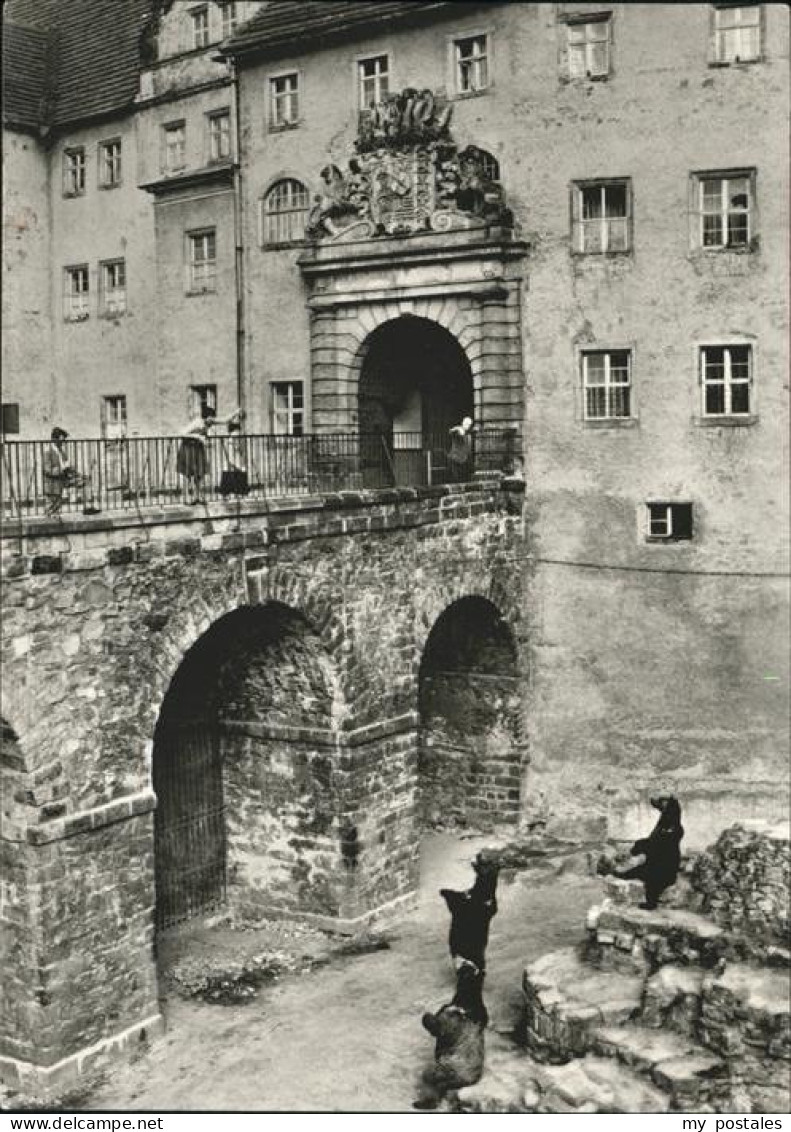 41260958 Torgau Baerenzwinger Im Schloss Torgau - Torgau