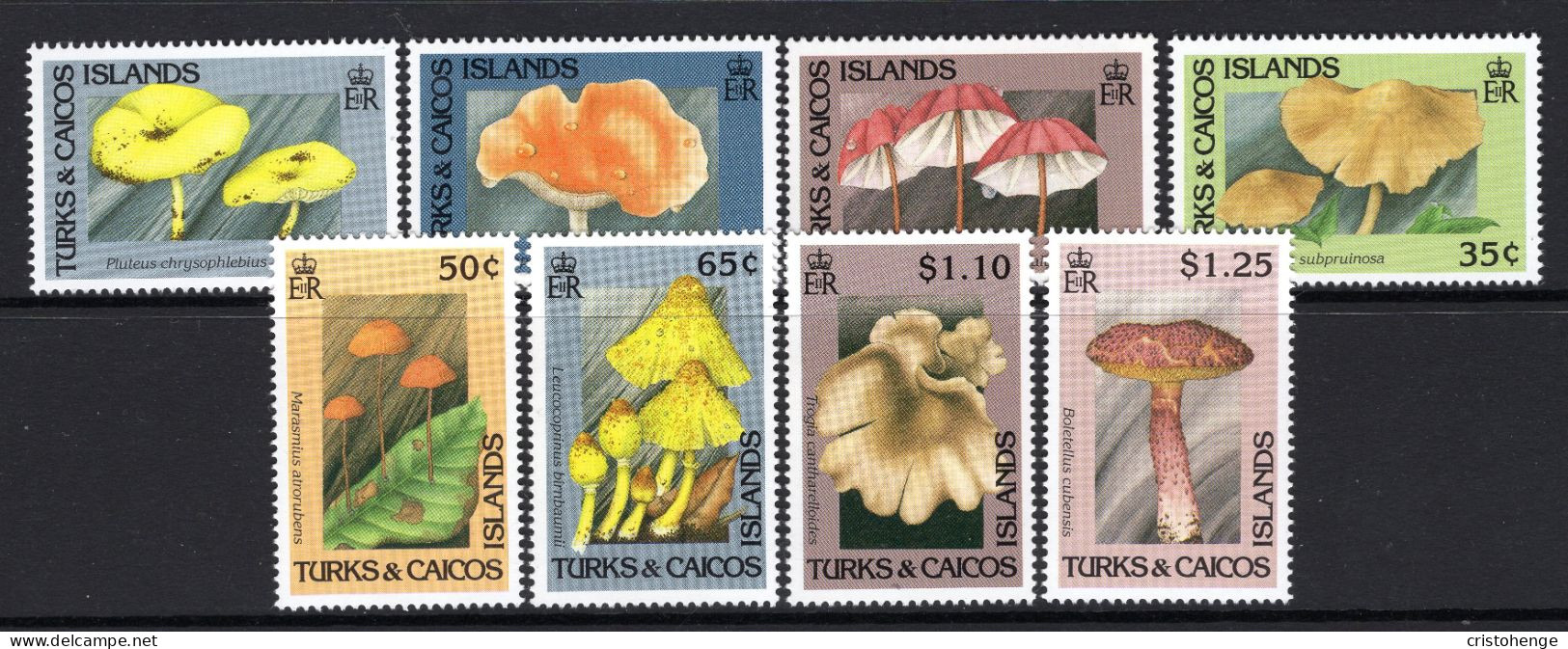 Turks & Caicos Islands 1991 Fungi Set MNH (SG 1104-1111) - Turks & Caicos (I. Turques Et Caïques)