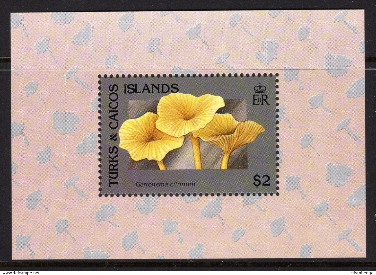 Turks & Caicos Islands 1991 Fungi MS MNH (SG MS1112a) - Turks & Caicos (I. Turques Et Caïques)