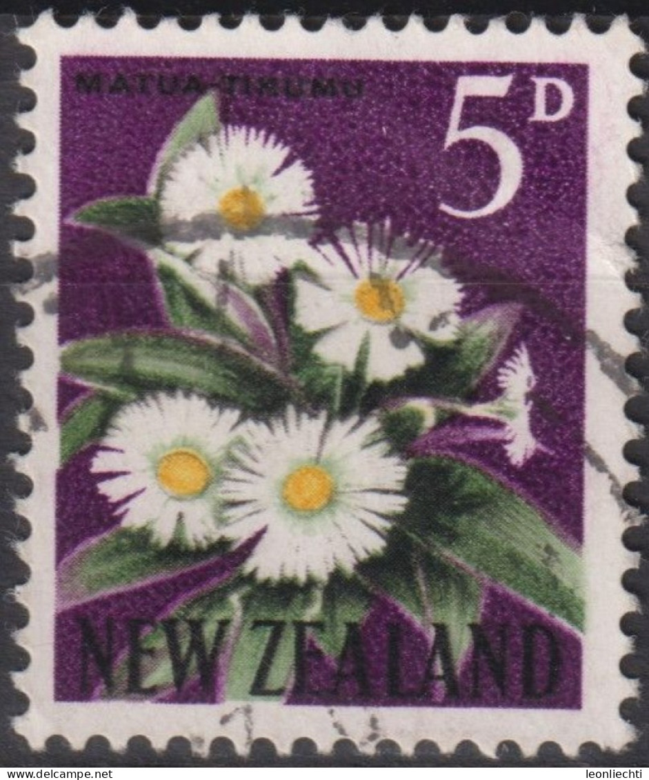 1962 Neuseeland ° Mi:NZ 398, Sn:NZ 339, Yt:NZ 388A, Mountain Daisy (Celmisia Coriacea) - Gebruikt