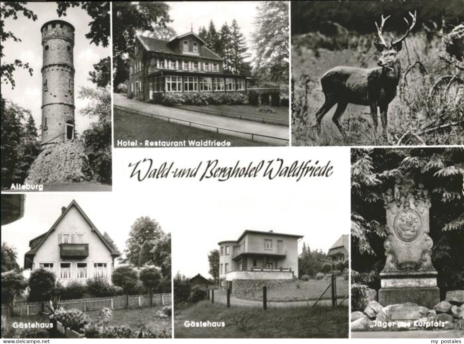 41259328 Waldfriede Bad Sobernheim Berghotel Waldfriede Alteburg Hirsch Sobernhe - Bad Sobernheim