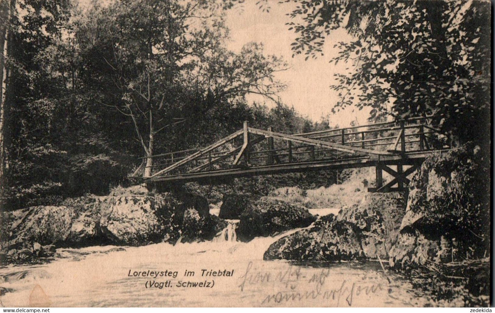 G9905 - Loreley Steg Loreleysteg Brücke Triebtal - Gruß Aus Vogtland - Löffler & Co - Pöhl