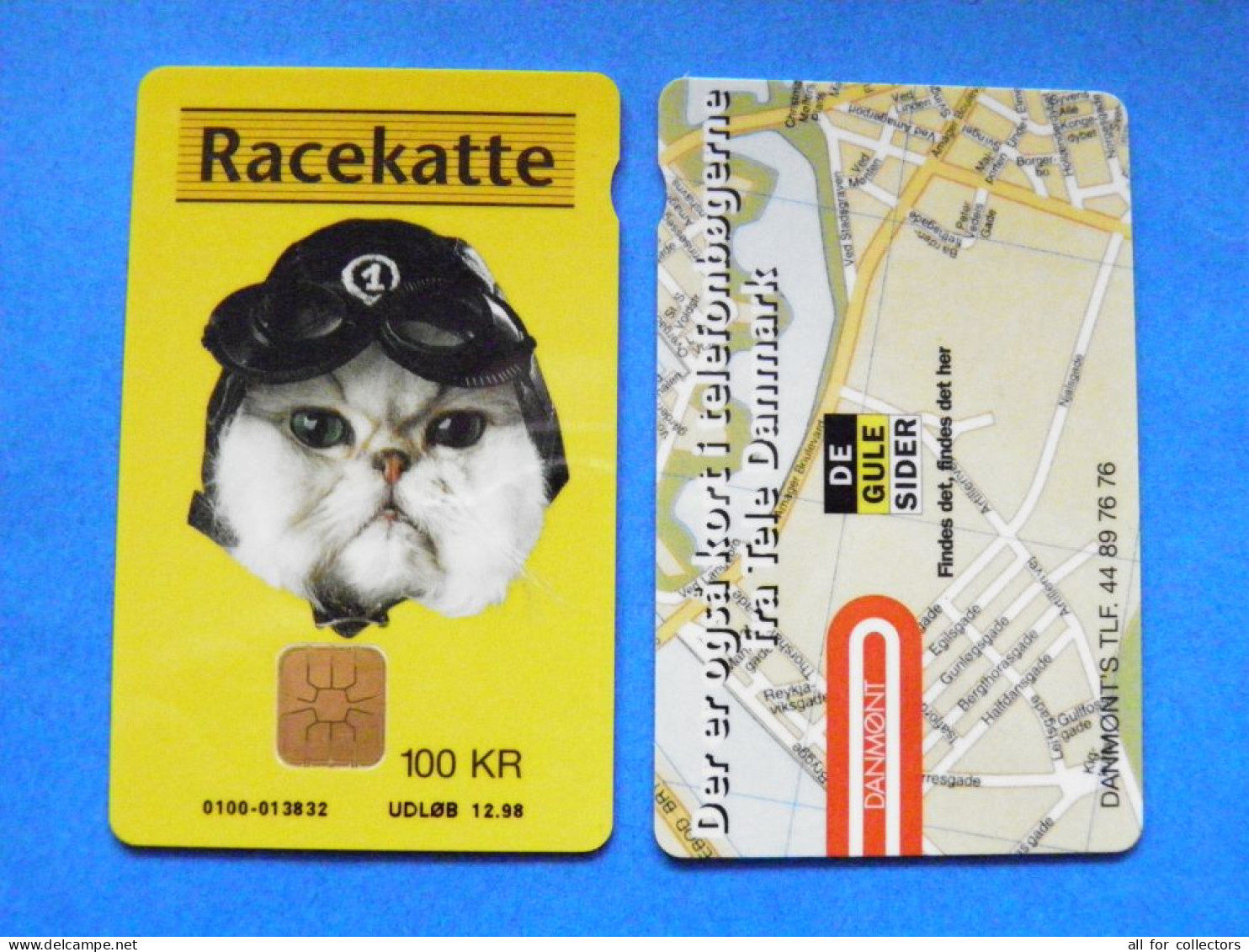 CHIP Phonecard Denmark Danmont Animal Cat Racekatte Map 100 Kroner 12.98 - Denemarken