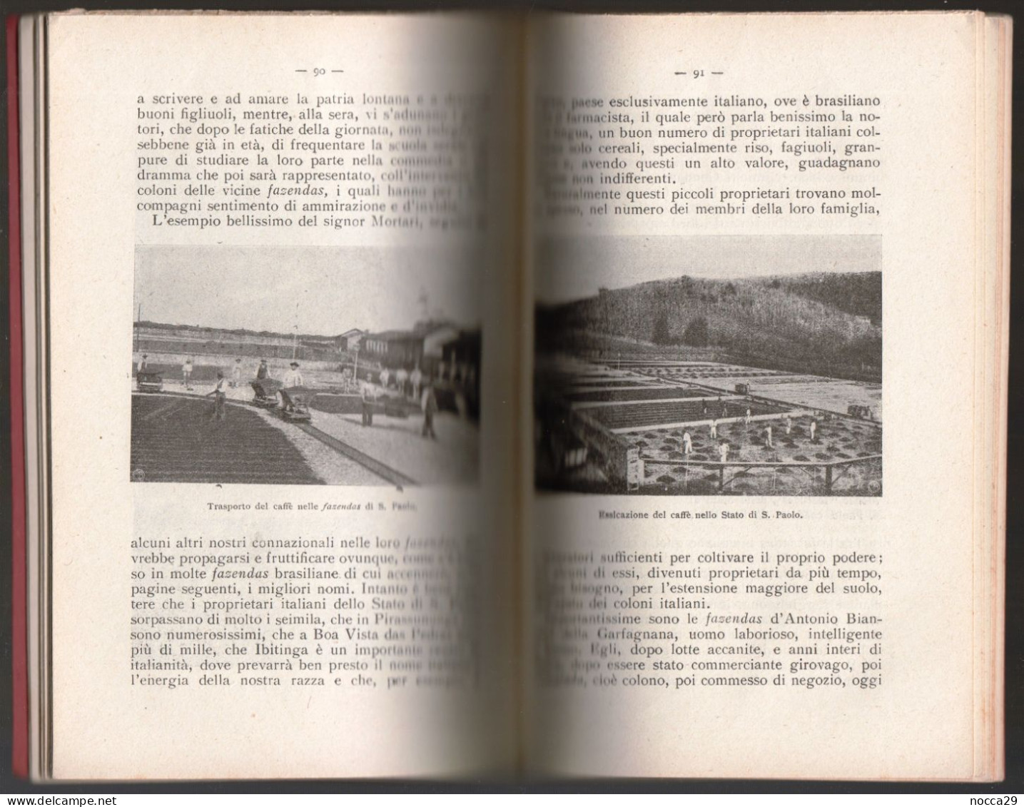 LIBRO - PICCOLA STORIA DEL POPOLO BRASILIANO - 1923 - VALLARDI EDITORE - AUTORE G. MONACHESI (STAMP327) - Turismo, Viaggi